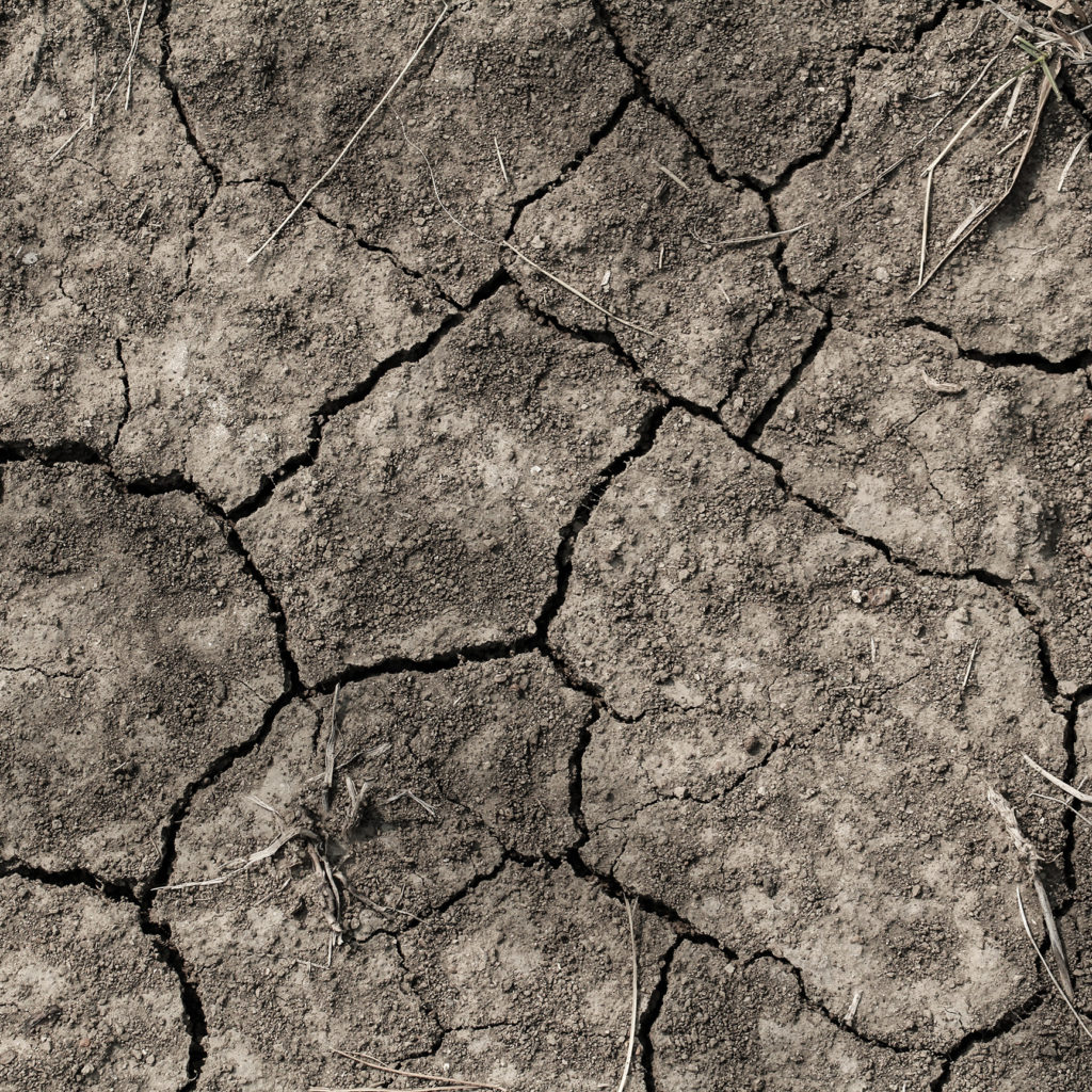 Photograph of dry dirt, cracked in the sun.